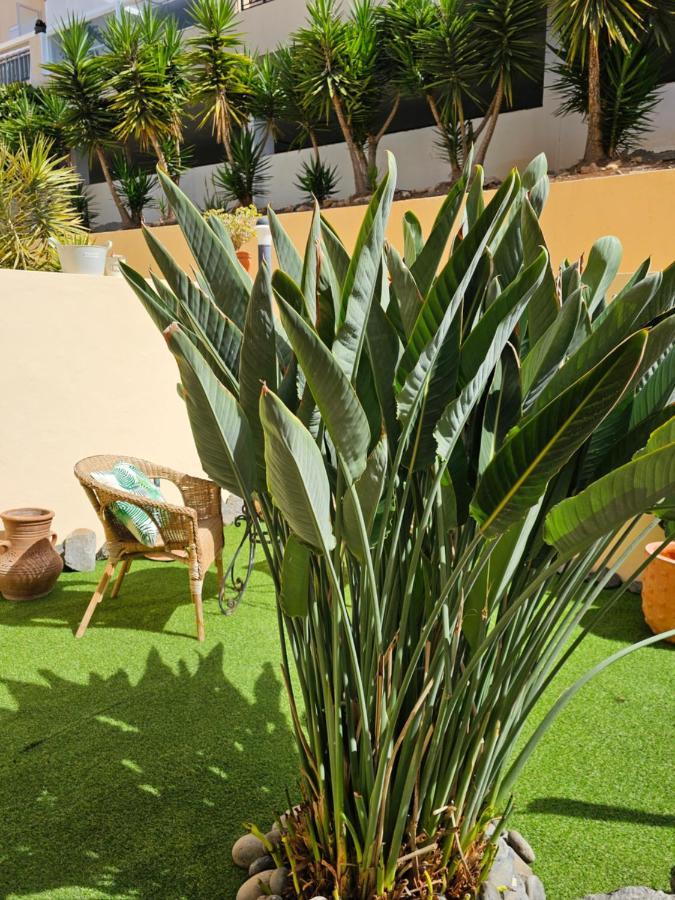 New Holiday Home Beautiful Sea View With Aircon, Costa Adeje Costa Adeje  Zewnętrze zdjęcie